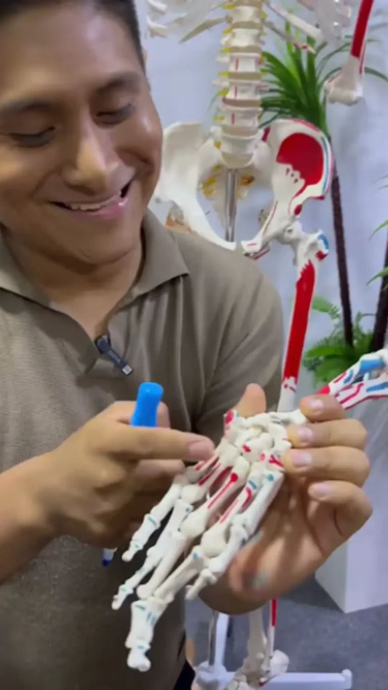 Explicación de la anatomía de la mano con un esqueleto